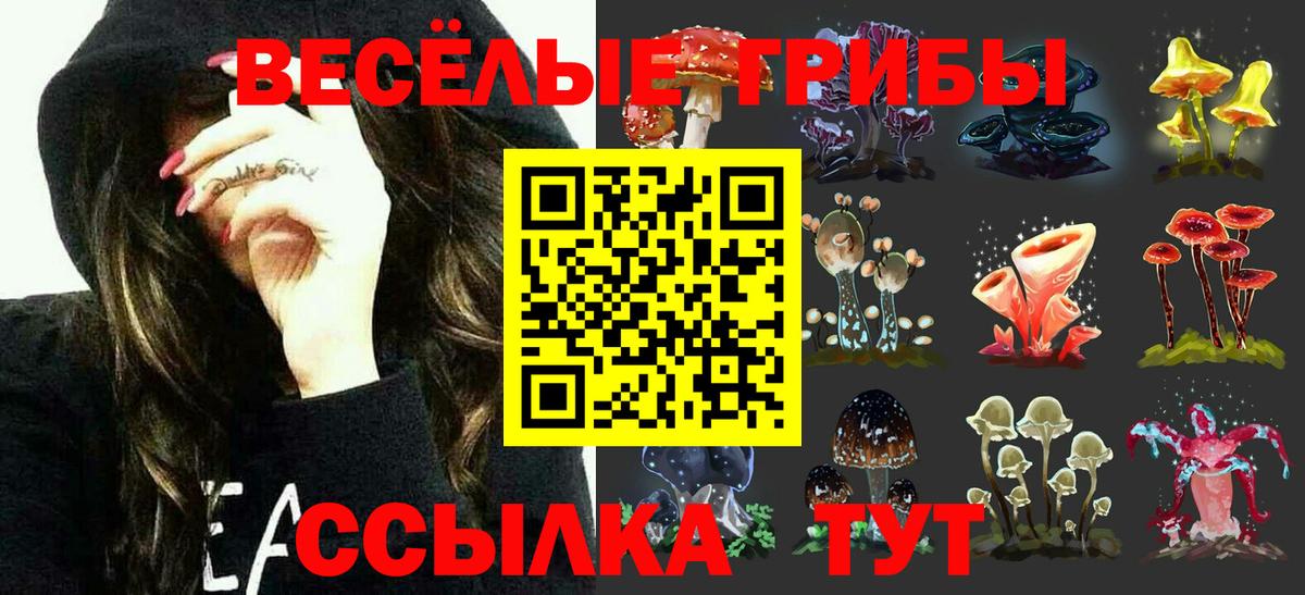 Лениногорск  Псилоцибиновые грибы Cubensis  Вход с VPN 