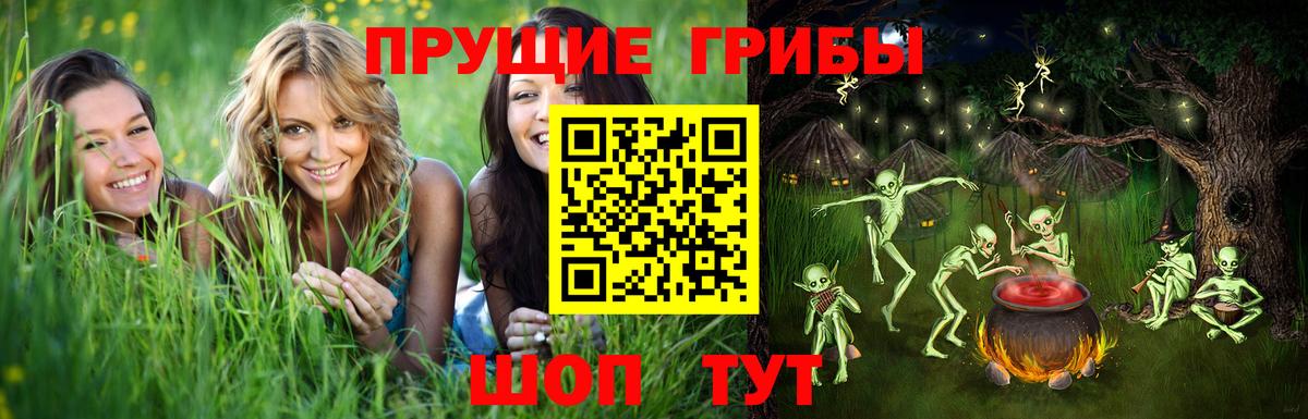 Псилоцибиновые грибы Psilocybine cubensis Лениногорск